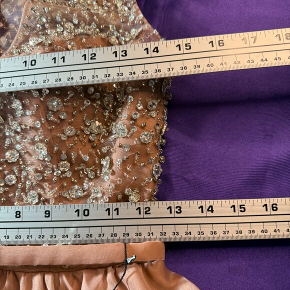 NEW📌 Terani Couture "Spotlight On" Elaborate Beaded Top Blush Prom - Ball Gown - Picture 13 of 16